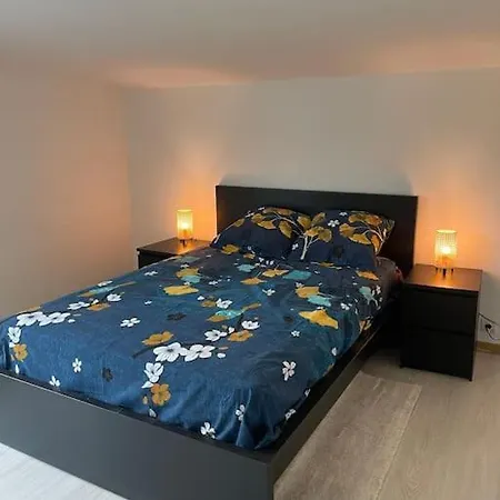 Maison Paisible, Elegante Cdg Jo Aulnay-sous-Bois